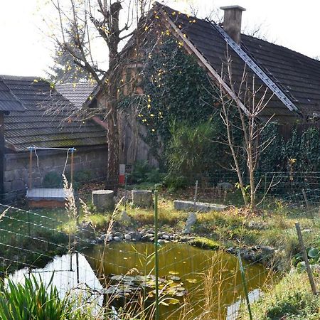 Ferienwohnung Blockheide Gmund  Eksteriør billede